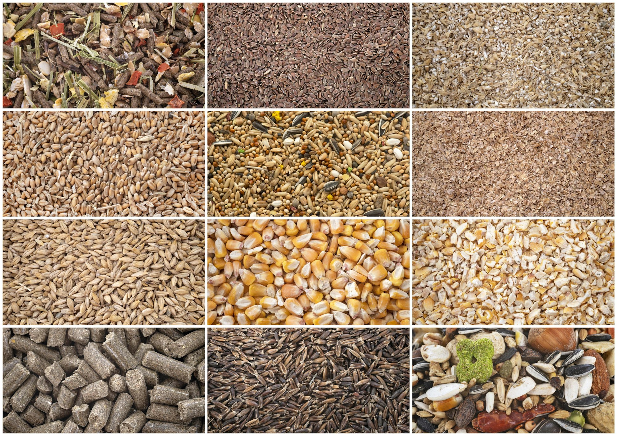 cereals for animal food